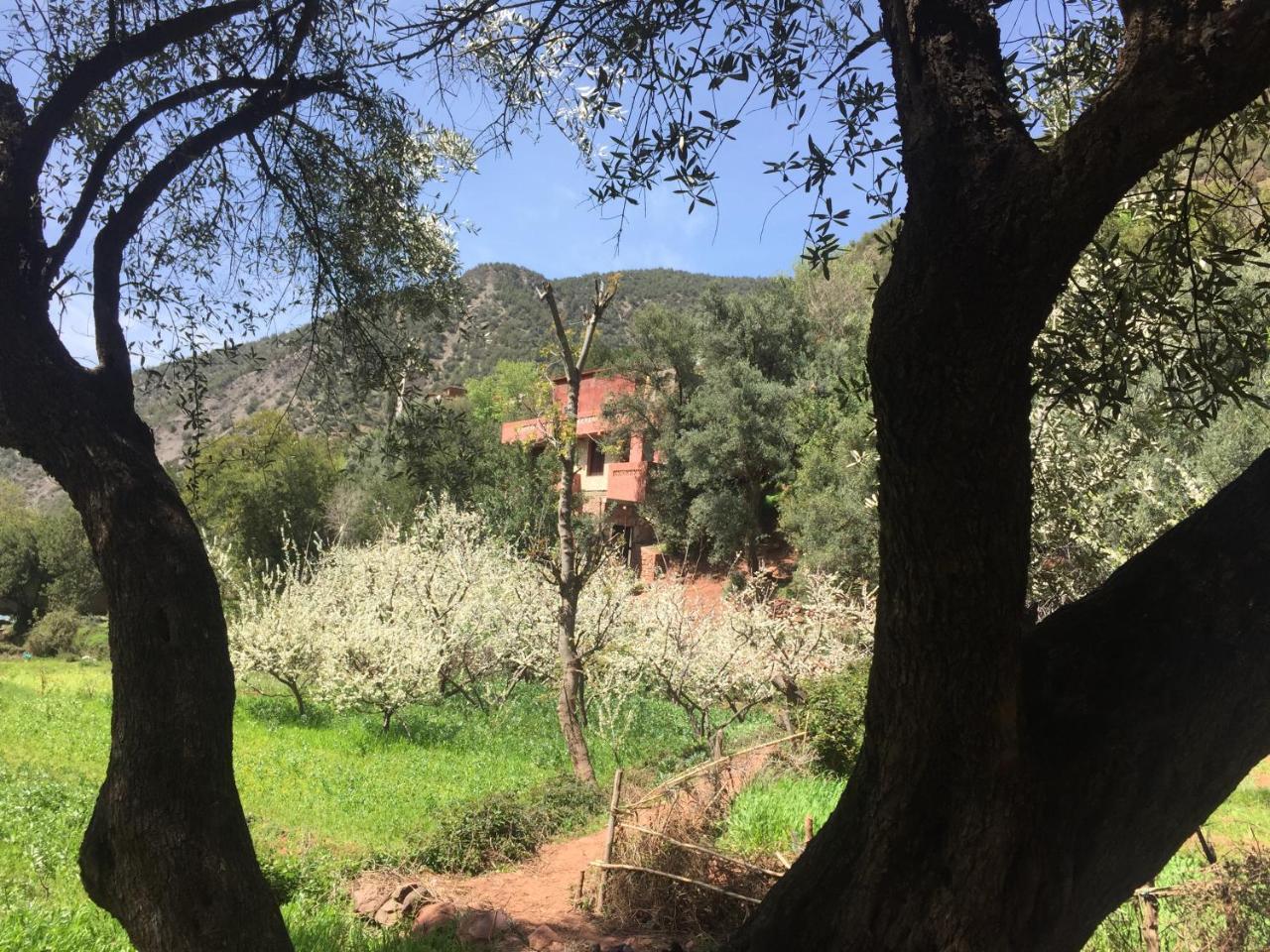 Chez Yahia, Au Coeur De L'Ourika 호텔 외부 사진